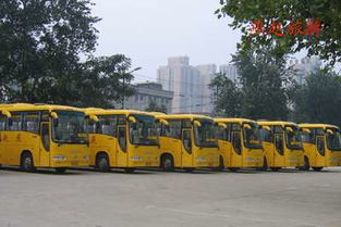 石家莊燕趙旅游汽車公司 汽車銷售新選擇，海量精選高清圖片庫助力決策